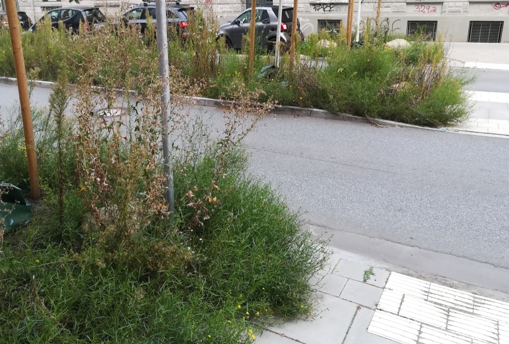 2021_09_06 Mitte Altona Harkortstraße