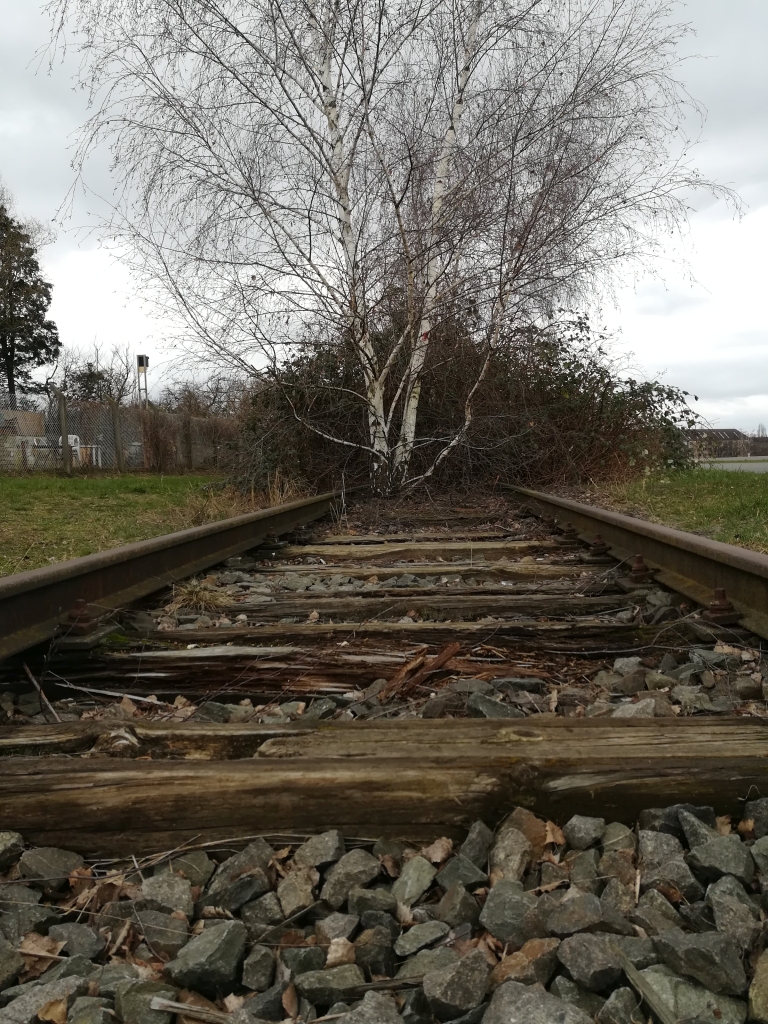 2022_03_04 Berlin, Tempelhofer Feld