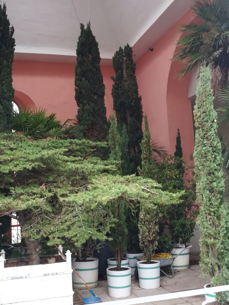 2022_03_17 Weimar, Belvedere, Orangerie