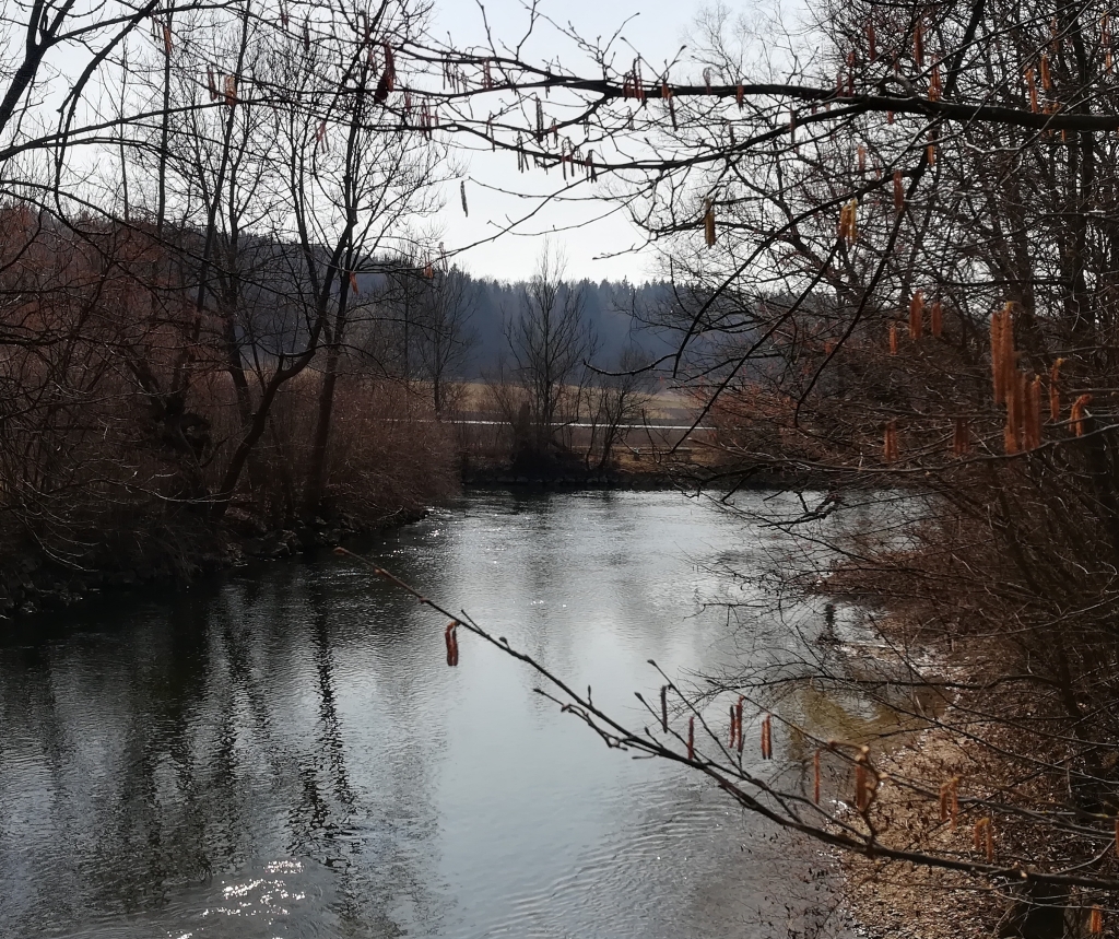 2022_03_19 Amper-Arm bei Schöngeising