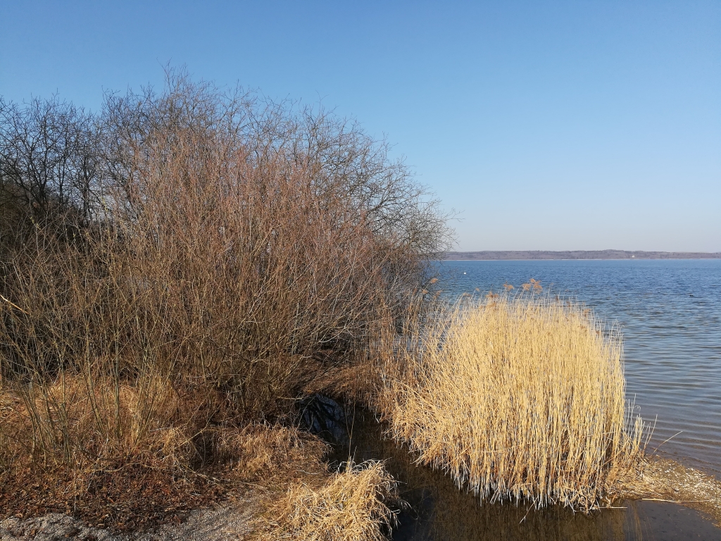 2022_03_21 Ammersee bei Dießen