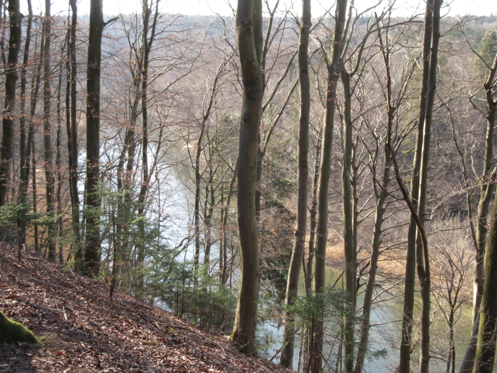 2022_03_24 Von der Sunderburg nach NO, mit Amper