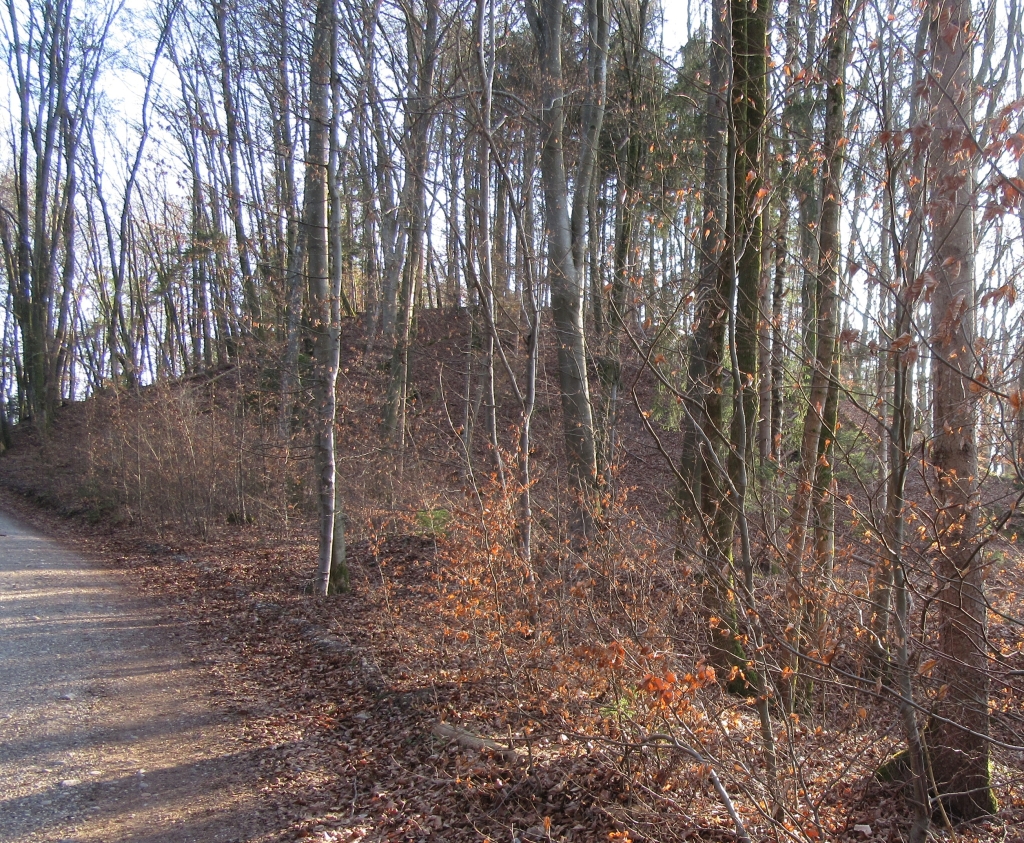 2022_03_24 Sunderburg Turmhügel von SW