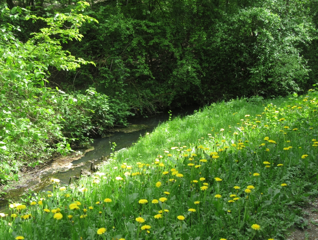 2022_05_07 0691a Jenfelder Bach