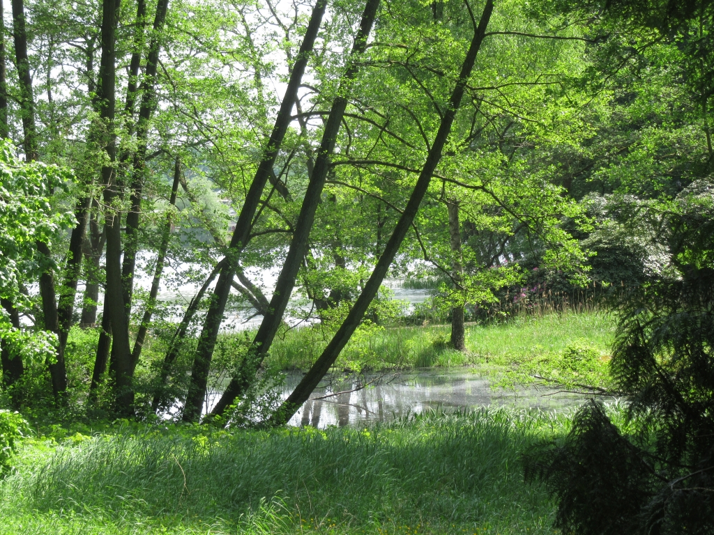 2022_05_19 Wilstorf, Außenmühlenteich