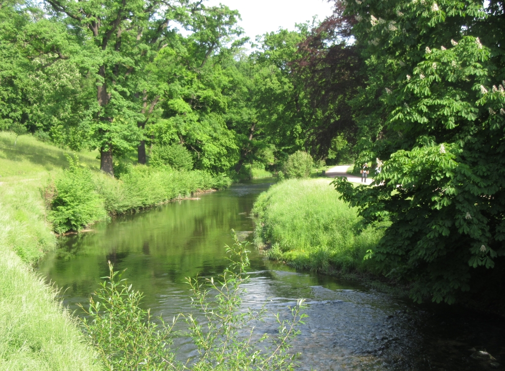 2022_05_22 IMG_0795a Ilm bei Tiefurt