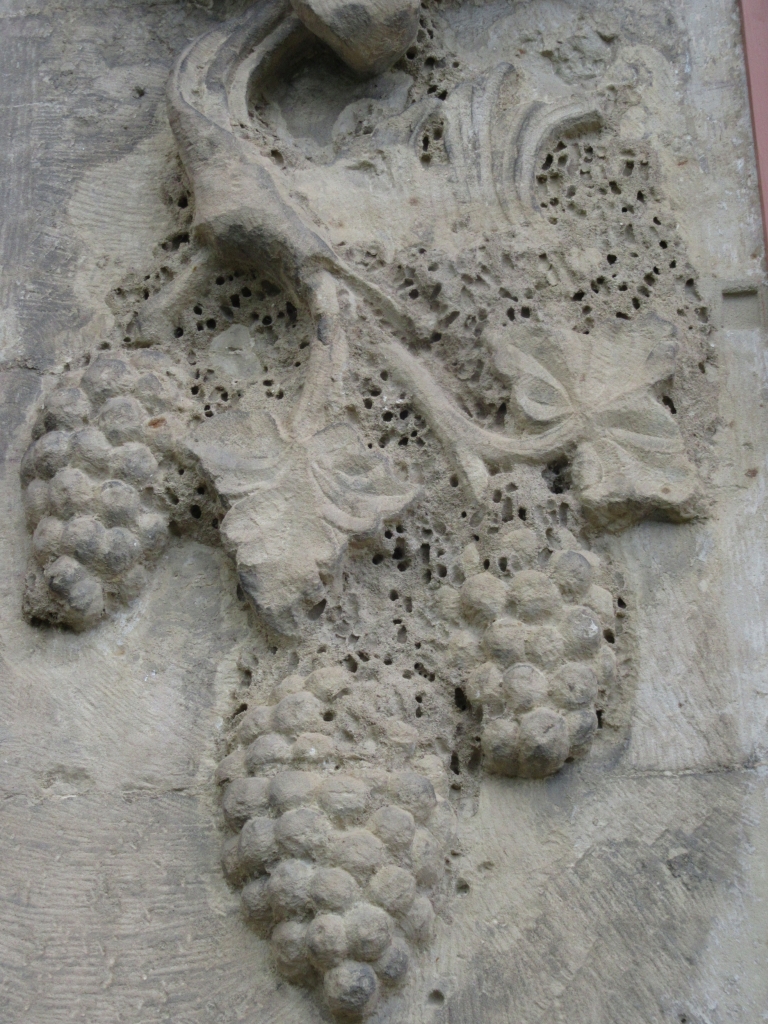 2022_05_24 IMG_0855 Weimar, Belvedere: Mörtelbienen-Kolonie