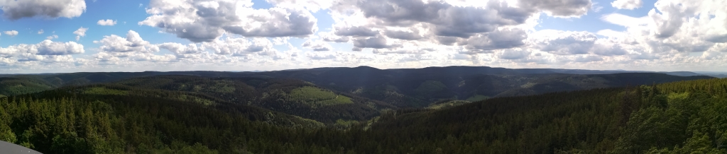 2022_05_25 164501a Vom Kickelhahnturm nach W