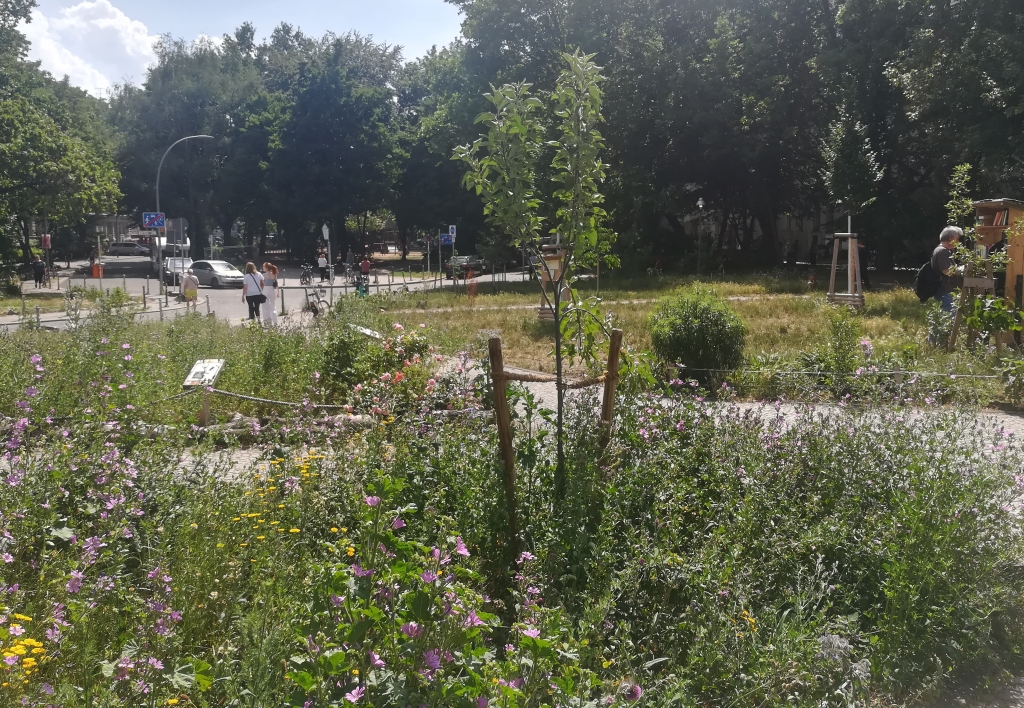 2022_06_12 143311 Berlin-Kreuzberg, im Graefekiez