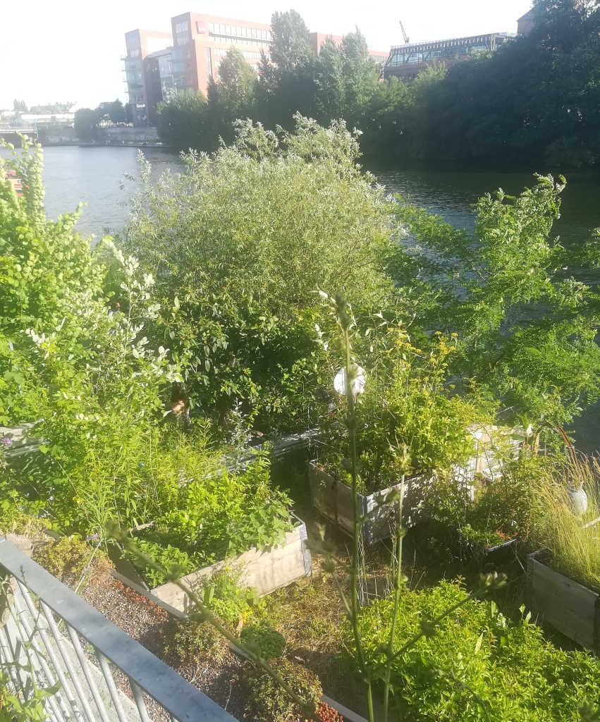 2022_06_12 80645a Berlin: Holzmarkt