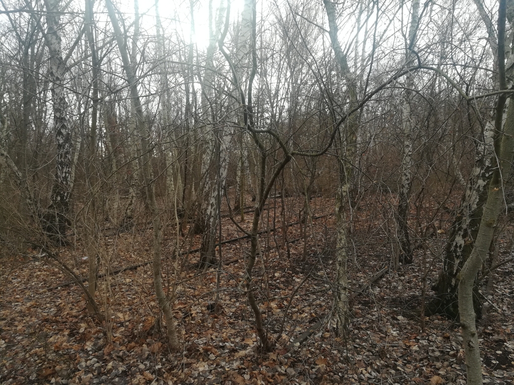 2023_02_02 110551 Berlin, Park am Gleisdreieck