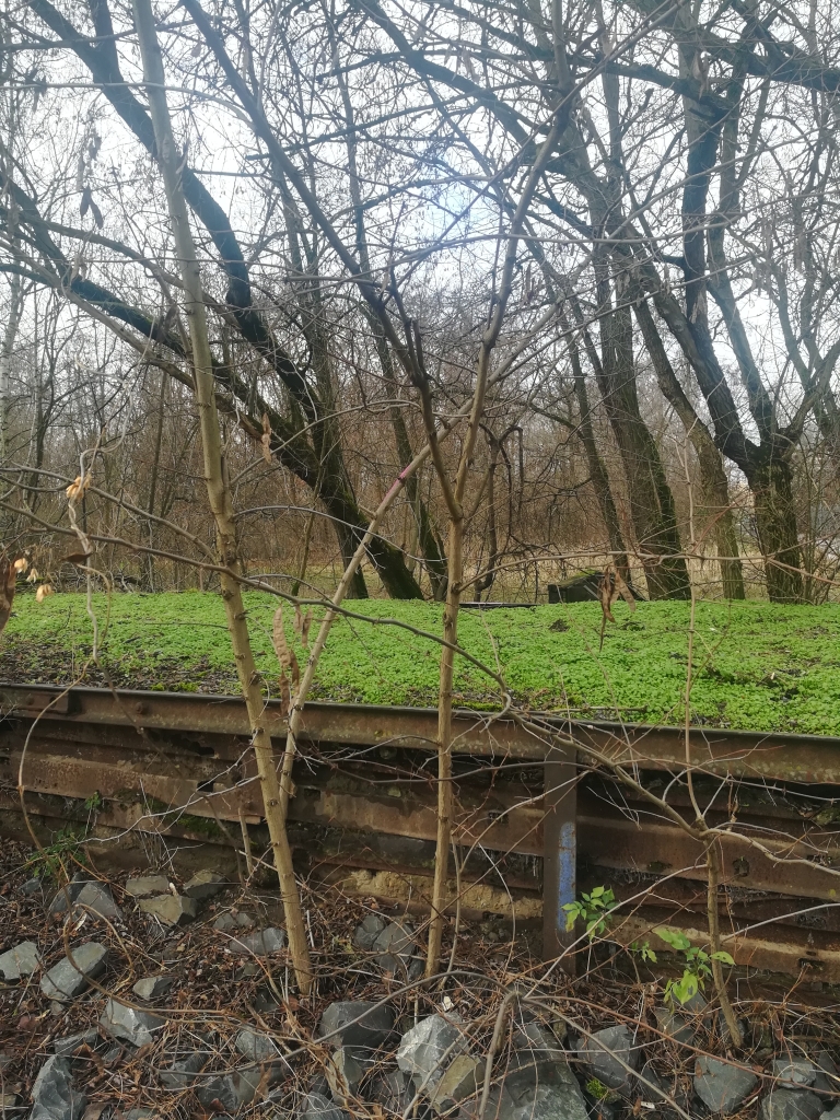 2023_02_02 110916 Berlin, Park am Gleisdreieck