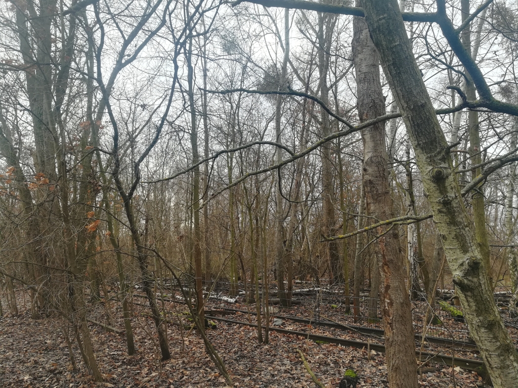 2023_02_02 111523 Berlin, Park am Gleisdreieck