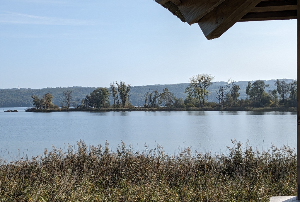 PXL_20231001_083050572a Vom Aussichtsturm zur Mündung Alte Amper